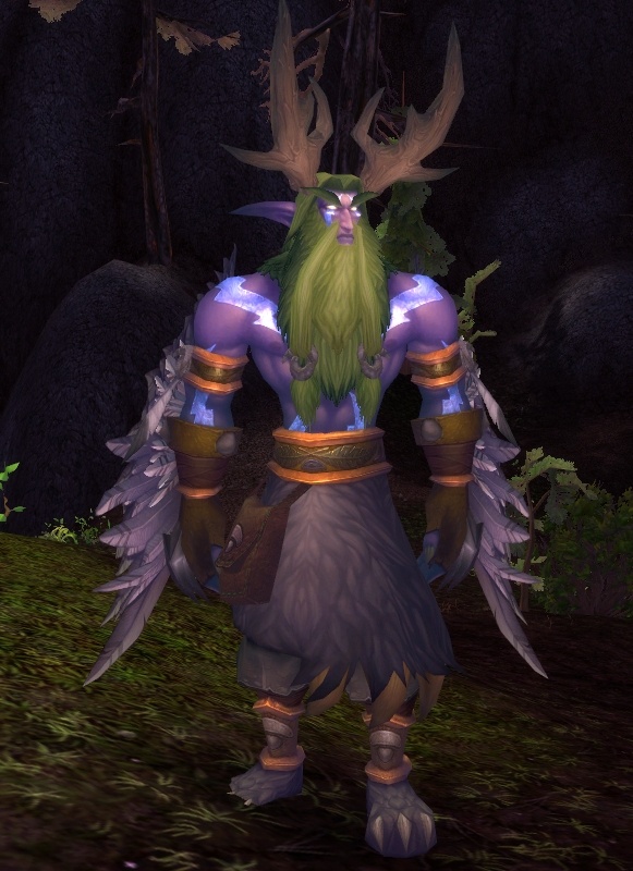 Malfurion Stormrage - NPC - World of Warcraft