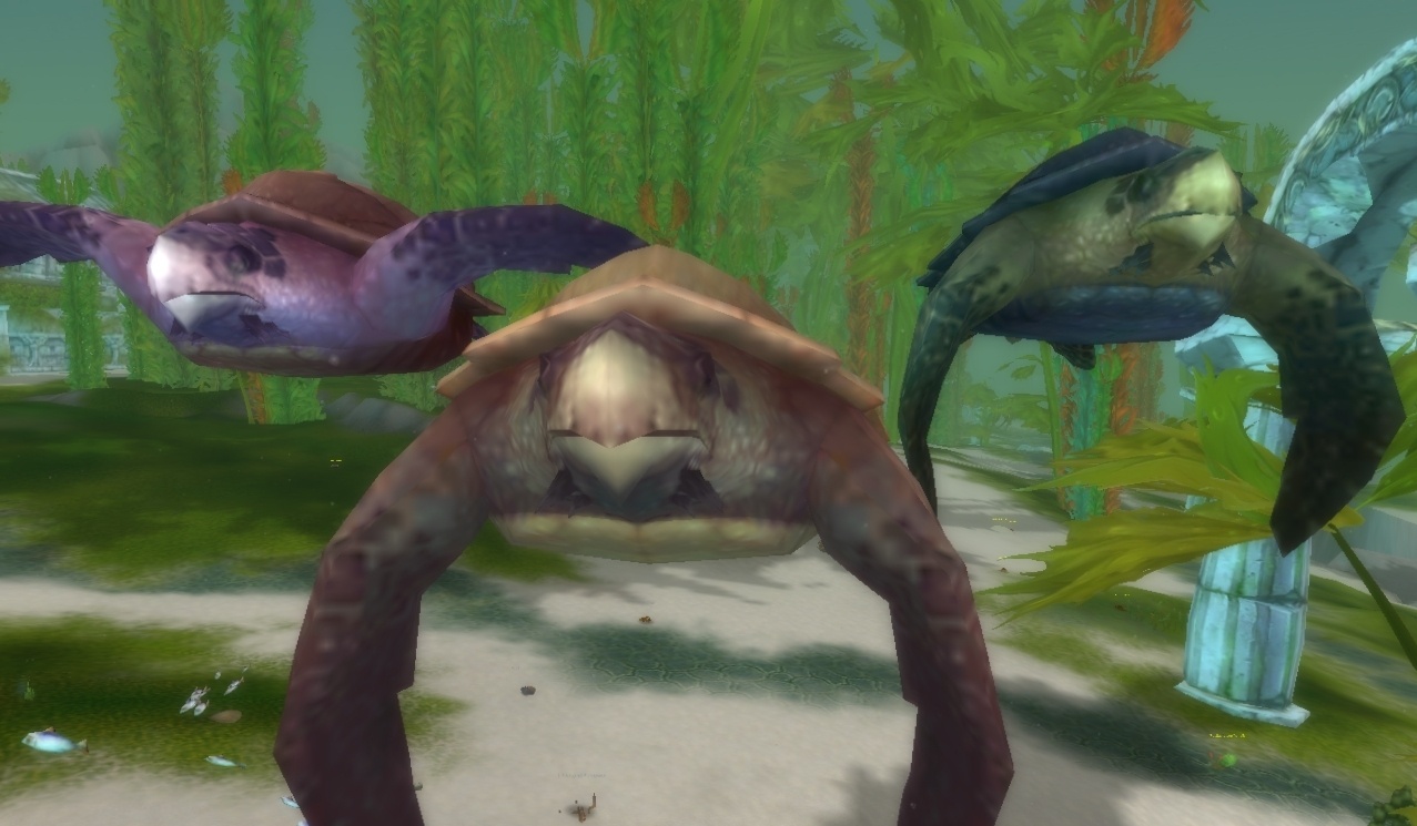 Softshell sea turtle npc cataclysm classic