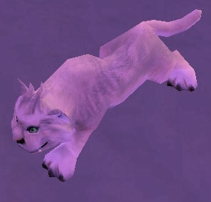 [Frostsaber Cub] - PNJ - [Cataclysm Classic]
