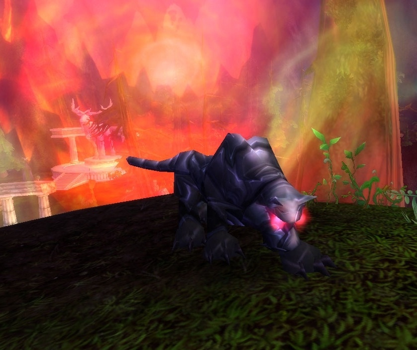 Wild Imp