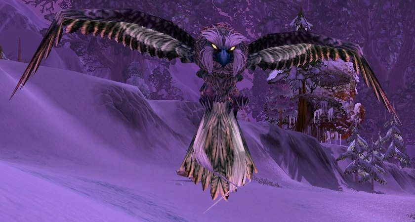 Winterspring Owl - NPC - Cataclysm Classic