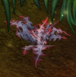 arcane quest 3 repair arcane quest 3 repair