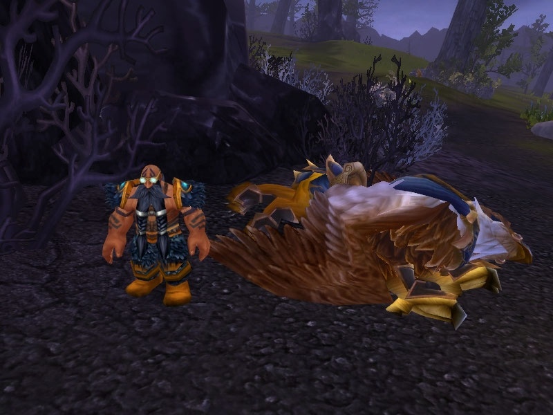 Bird Down! Bird Down! Quest World of Warcraft