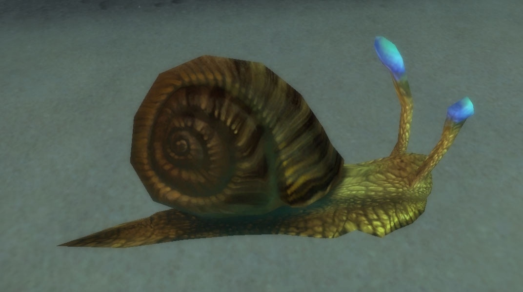 Coilshell Sifter Item World of Warcraft