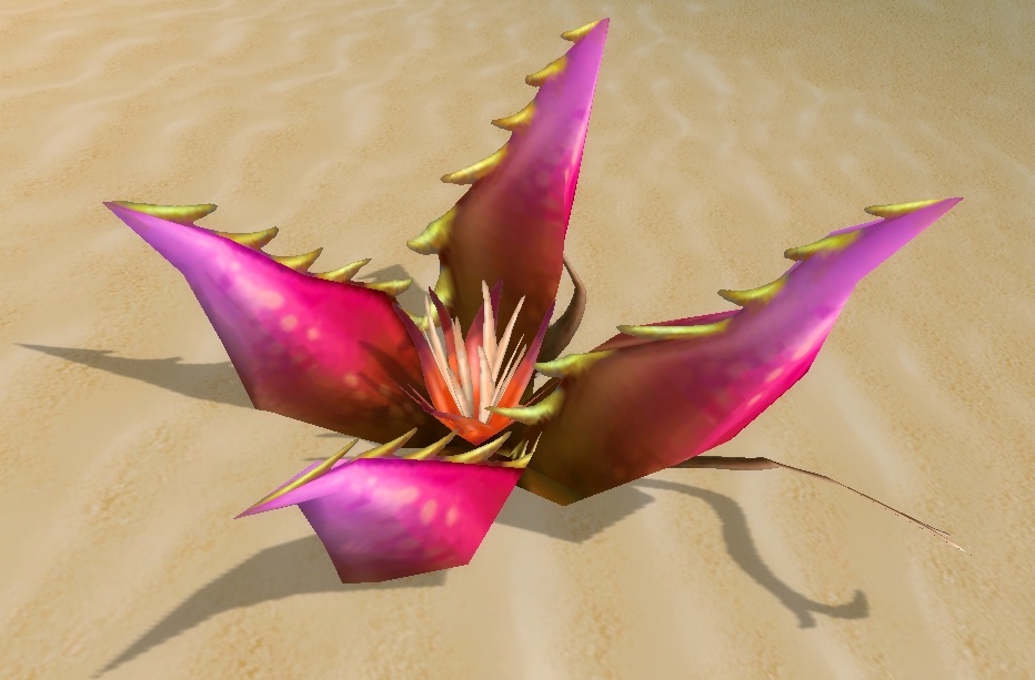 Fleur du désert - PNJ - World of Warcraft