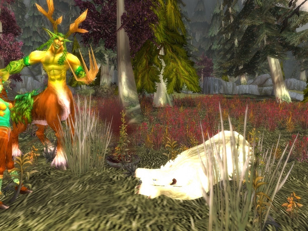 Ritual Materials Quest World of Warcraft