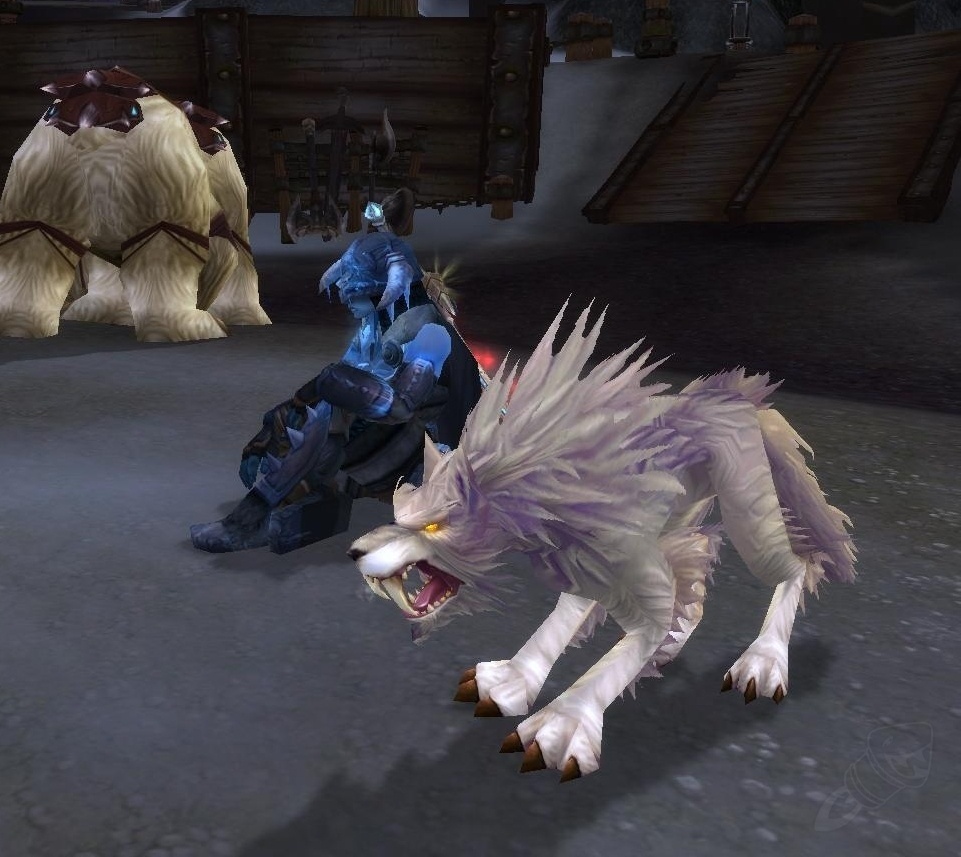 Wolf Hunter Pet Cataclysm Classic