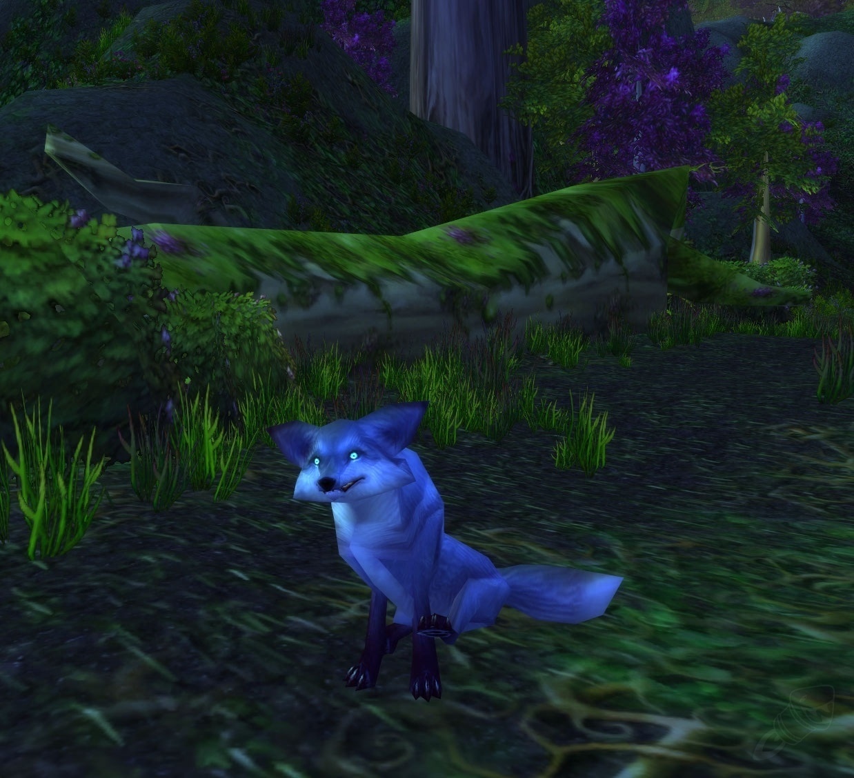 Fox - Hunter Pet - Cataclysm Classic