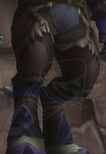 Garde-jambes Brise-ciel - Objet - World of Warcraft