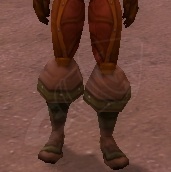 Cobrahn's Boots - Item - Cataclysm Classic