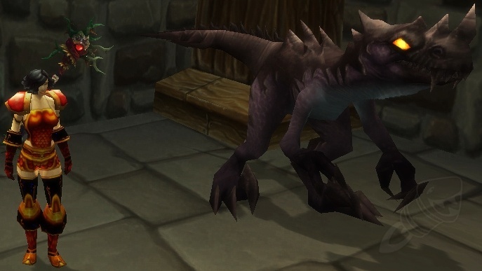 Raptor espinoso - PNJ - [Mists of Pandaria Classic]