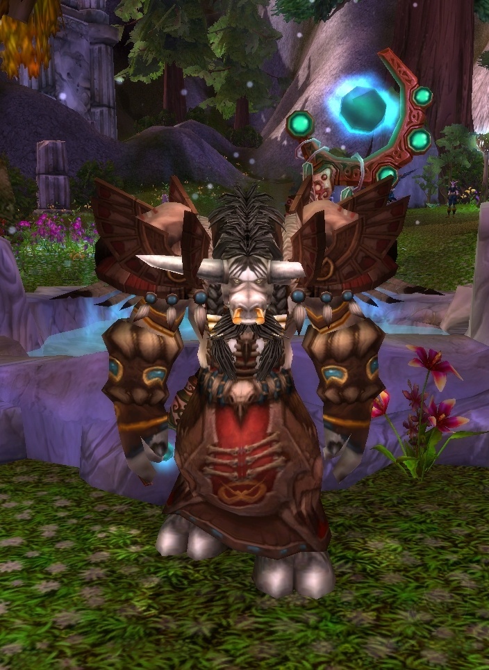 Archdruid Hamuul Runetotem - NPC - World of Warcraft