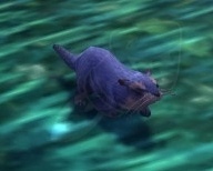 Mongoose Pup Npc World Of Warcraft