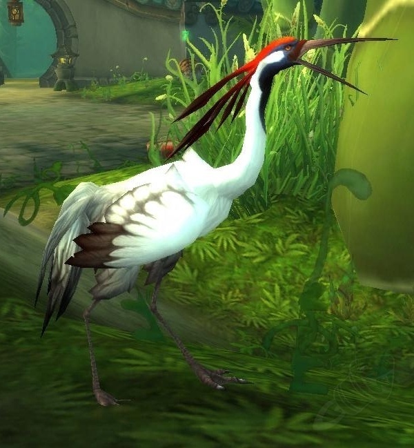 Exotic Pet Crane NPC World of Warcraft
