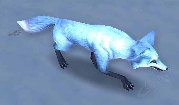 arctic fox kit