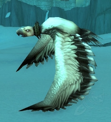 snowy gryphon hatchling