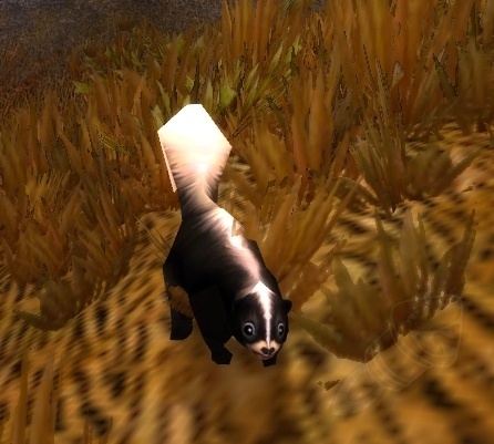 Skunk - NPC - World of Warcraft