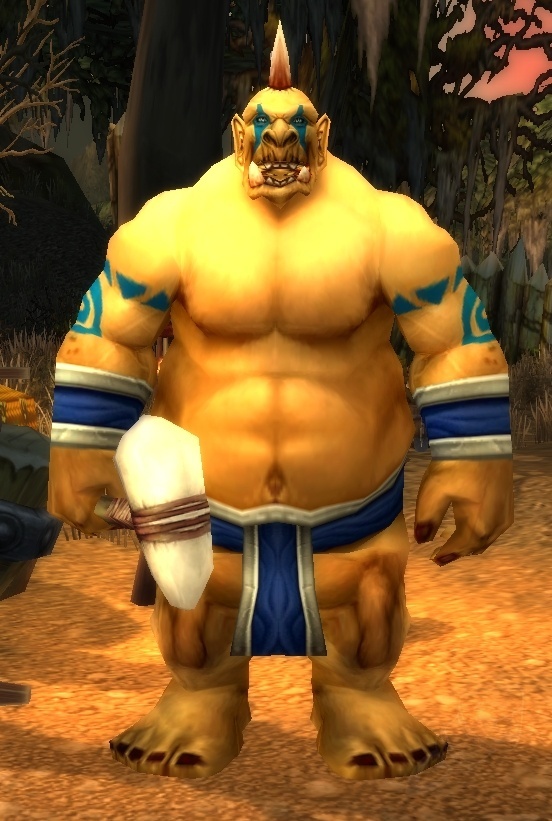 The Black Shield Quest World of Warcraft