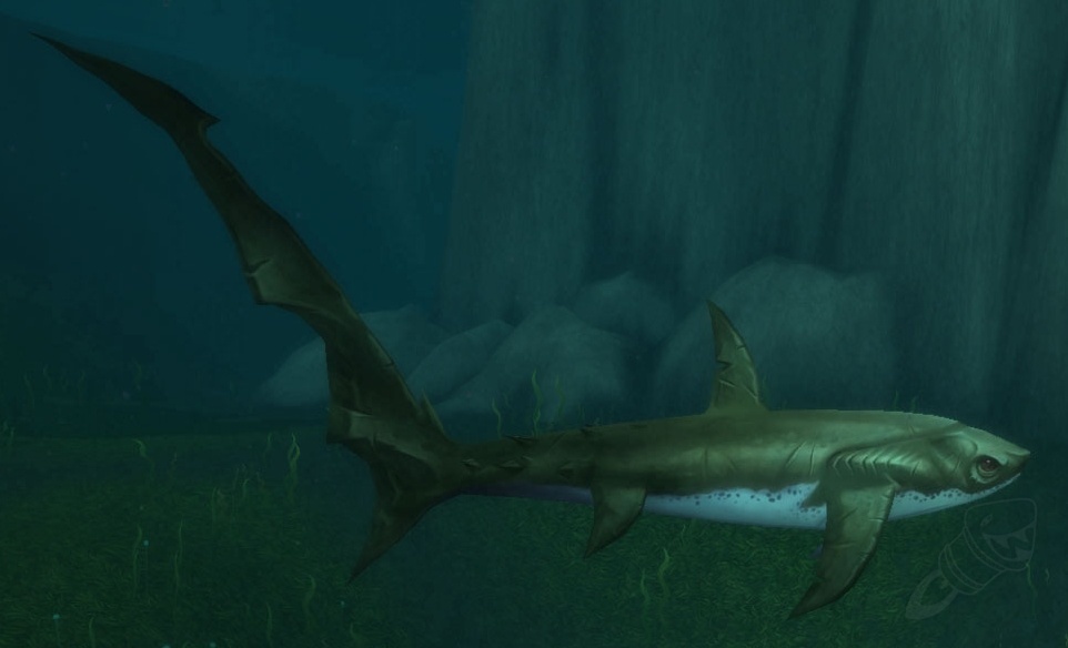 Requin dormeur PNJ World of Warcraft
