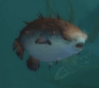 Poisson Épine Epine dorsale de poisson-globe épineux - Objet - [Mists of Pandaria ...