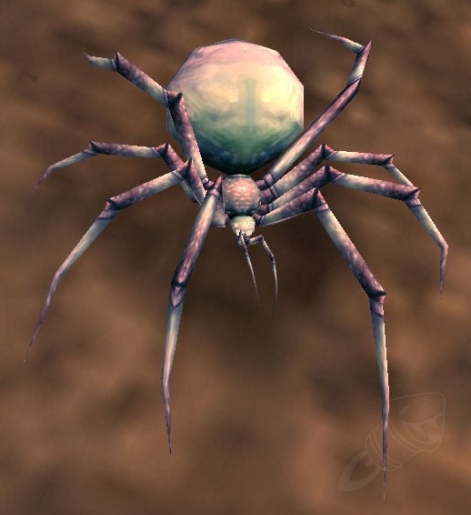 Ash Spiderling NPC World of Warcraft