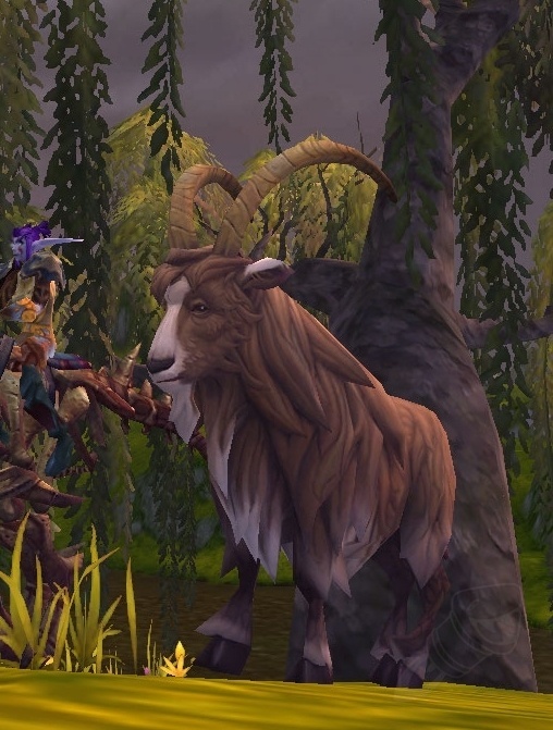 Goat - Hunter Pet - World of Warcraft