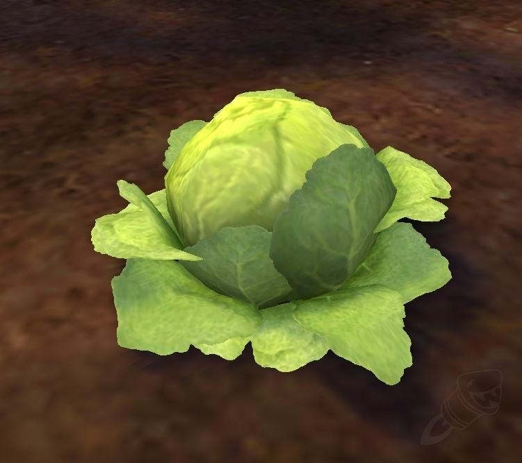 Growing Green Cabbage NPC World of Warcraft