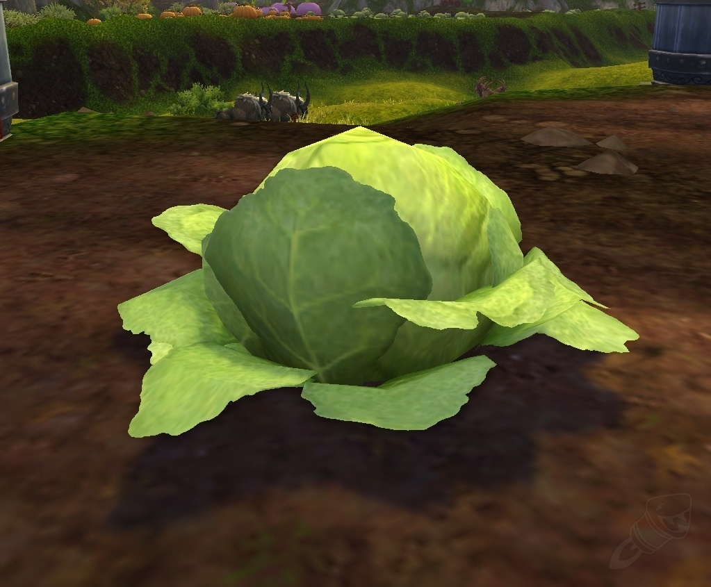 Ripe Green Cabbage - NPC - World of Warcraft