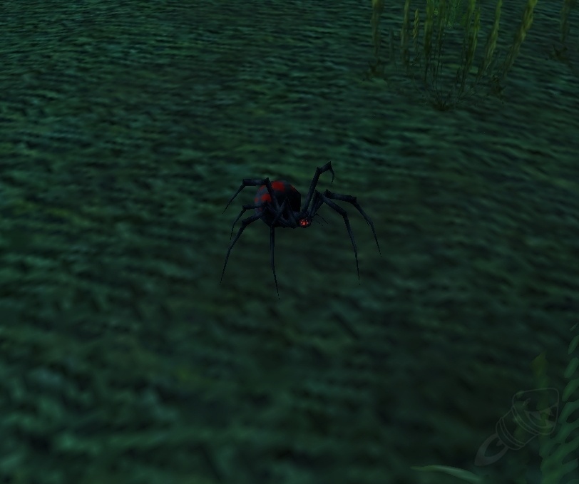 Widow Spiderling NPC World of Warcraft