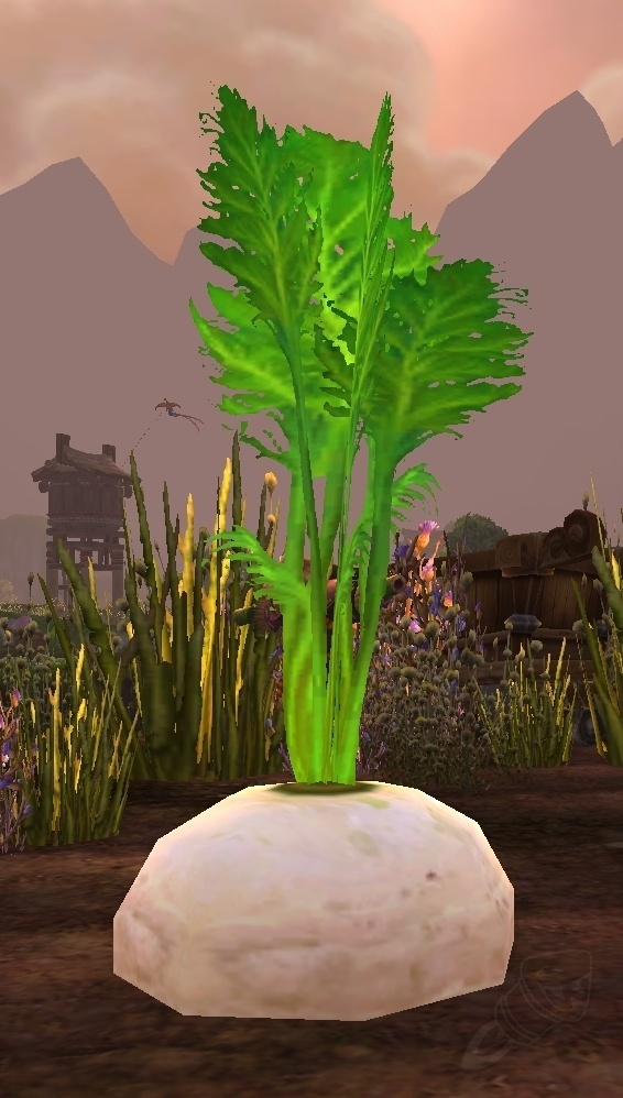 Vollreife weiße Rübe - NPC - World of Warcraft