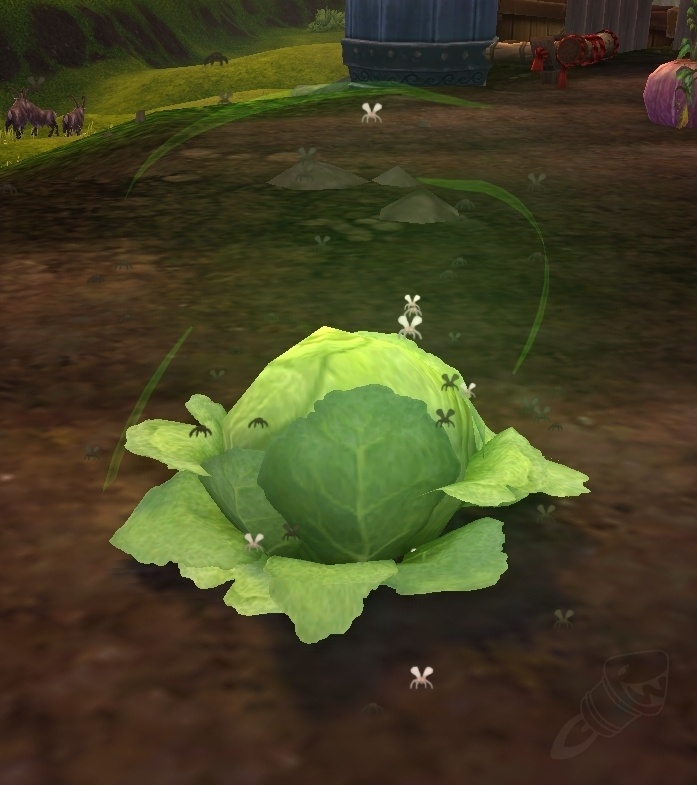 Infested Green Cabbage NPC World of Warcraft
