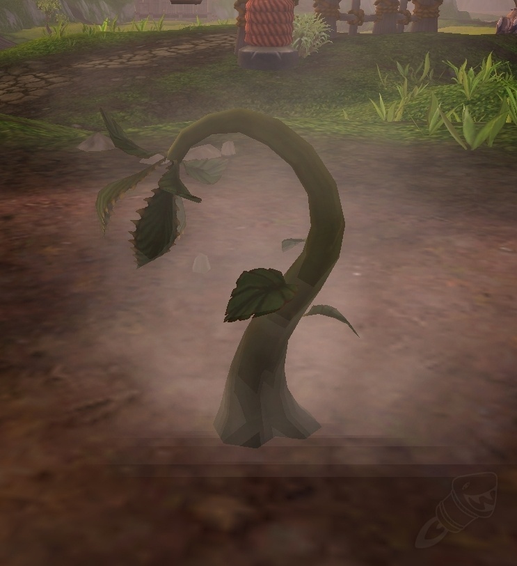 Mustia Hojarraptor mustia - PNJ - World of Warcraft