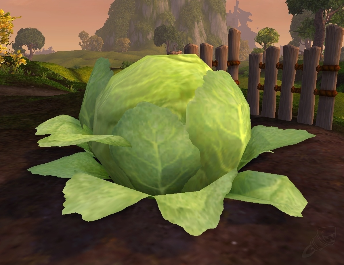 Plump Green Cabbage NPC World of Warcraft
