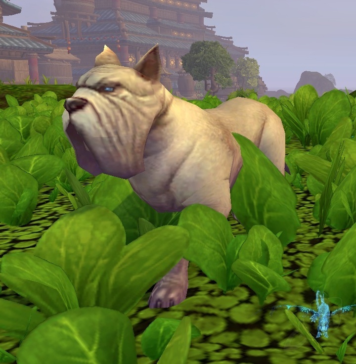 Mudclaw's Guard Dog NPC World of Warcraft