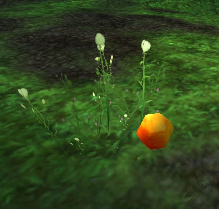 Ripe Orange Item World Of Warcraft