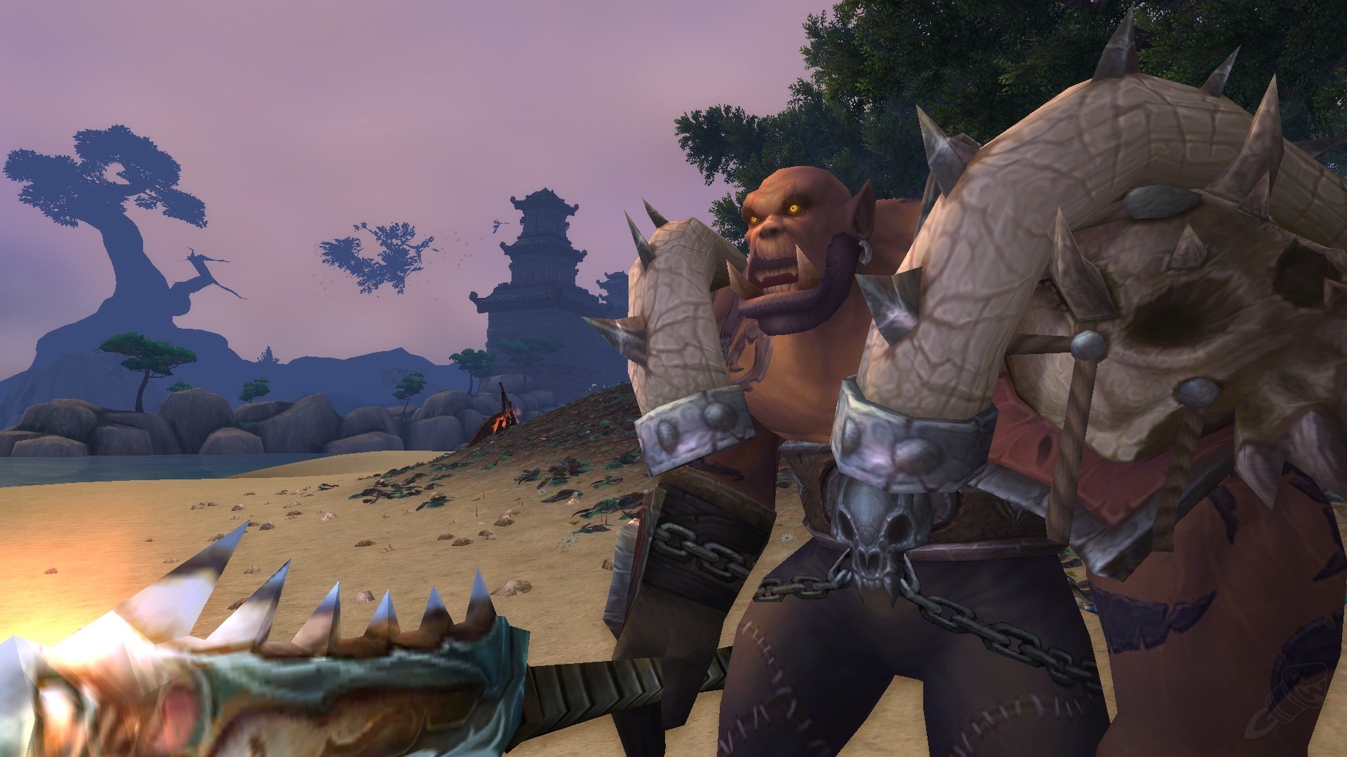 Garrosh Hurlenfer PNJ World of Warcraft