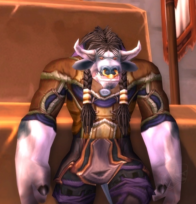 HozenCrafted Jerkin Item World of Warcraft