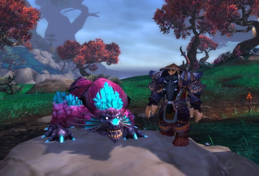 Pielroca el Inamovible - PNJ - [Mists of Pandaria Classic]