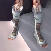 Courtier's Slippers - Item - World of Warcraft