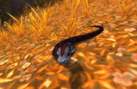 Гайд по Острову Грома в WoW Mists of Pandaria Classic 67 Старейшина Питон