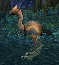 Timberstrider Fledgling - NPC - WotLK Classic