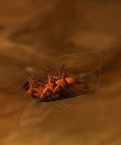 Cockroach - NPC - Mists of Pandaria Classic