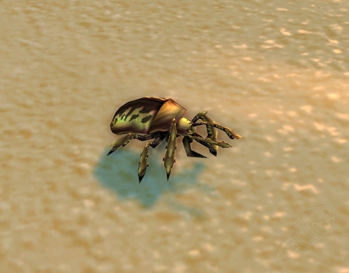 GOLD BEETLE BUCKLE