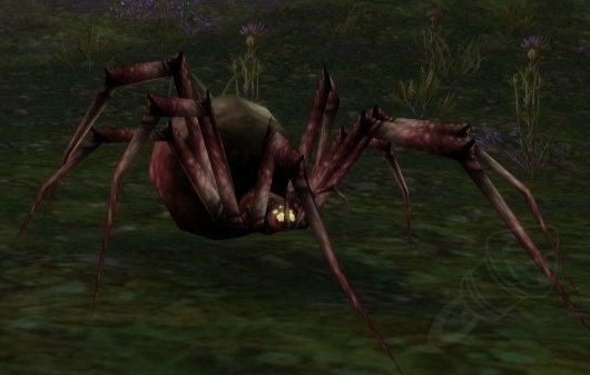 Young Night Web Spider - NPC - Classic World of Warcraft