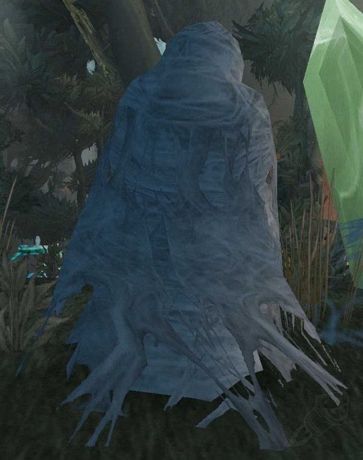 Netherweb Victim NPC TBC Classic
