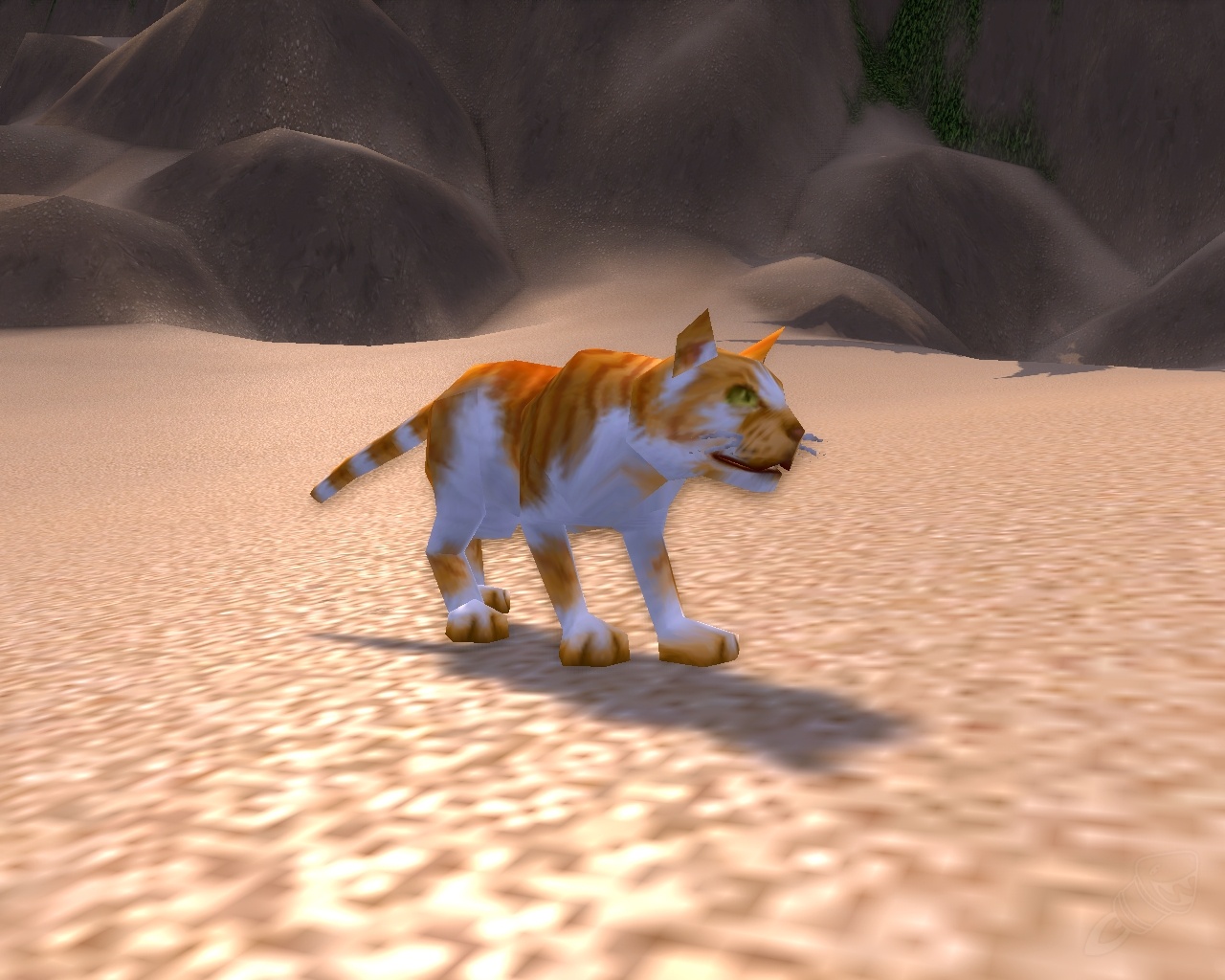 Chaton Des Sables Pnj World Of Warcraft