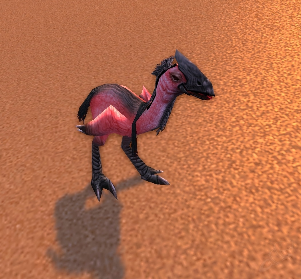 Mulgore Hatchling