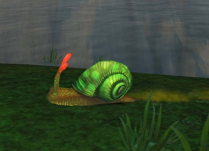 Gastropod Shell Item World of Warcraft