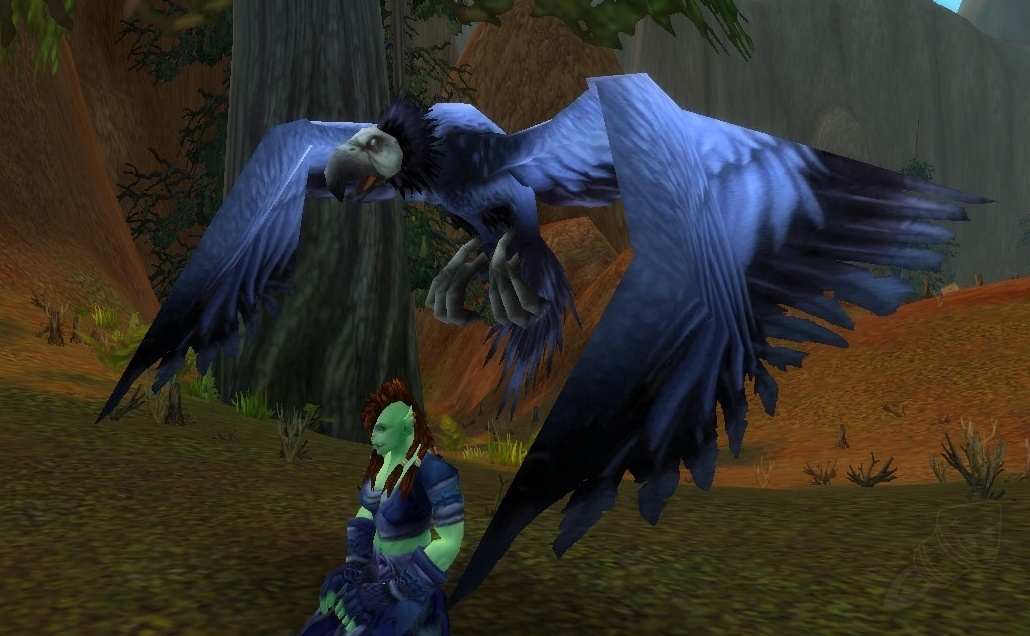 Arae - NPC - Mists of Pandaria Classic
