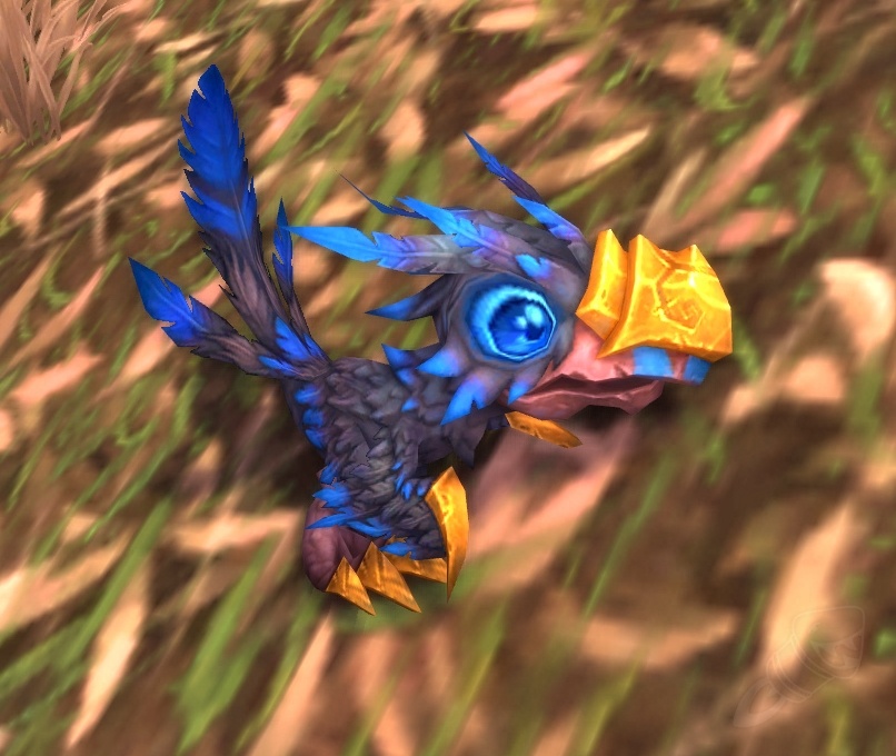 Bebe Corbeau De L Effroi Pnj World Of Warcraft